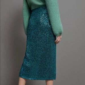 Maeve by Anthropologie Sequined Skirt